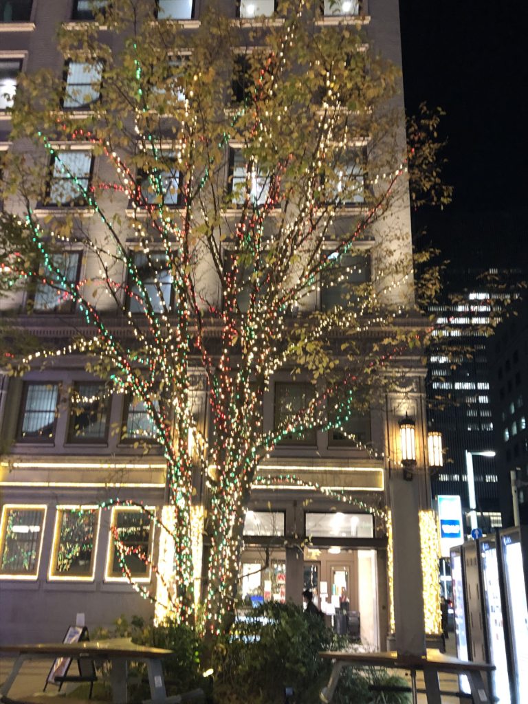 赤・黄色・緑のイルミネーション。