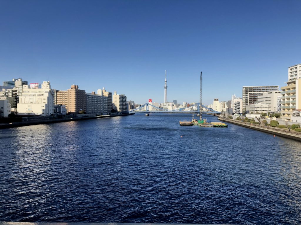 橋の上から川を撮った写真。真ん中にスカイツリーが見える。