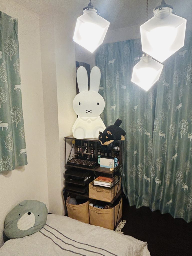 部屋の写真（棚アップ）
オレンジのラックを木製の物に変更。マコーSサイズの箱と、上にハンギングバスケットを設置。