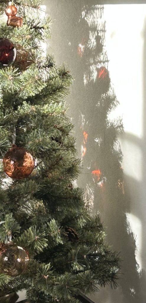 日の光に照らされて、オーナメントの赤色が白い壁に写っている。