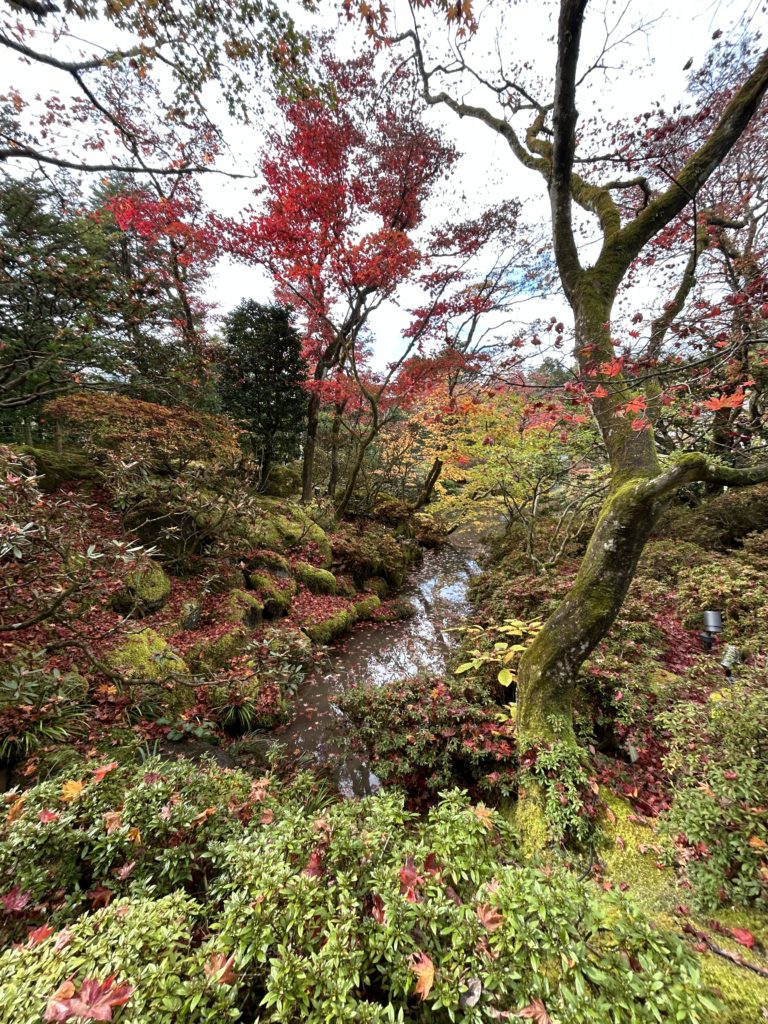 逍遥園（多分）